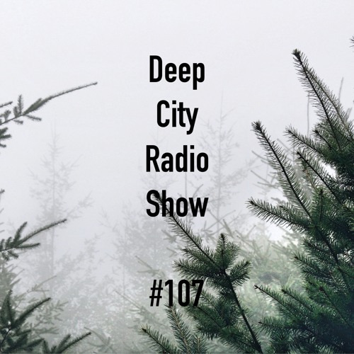 Deep City Radio Show #107 - Part 1 - Andizzzii