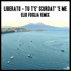 Liberato - Tu t'e' scurdat' 'e me (Elio Foglia Remix)