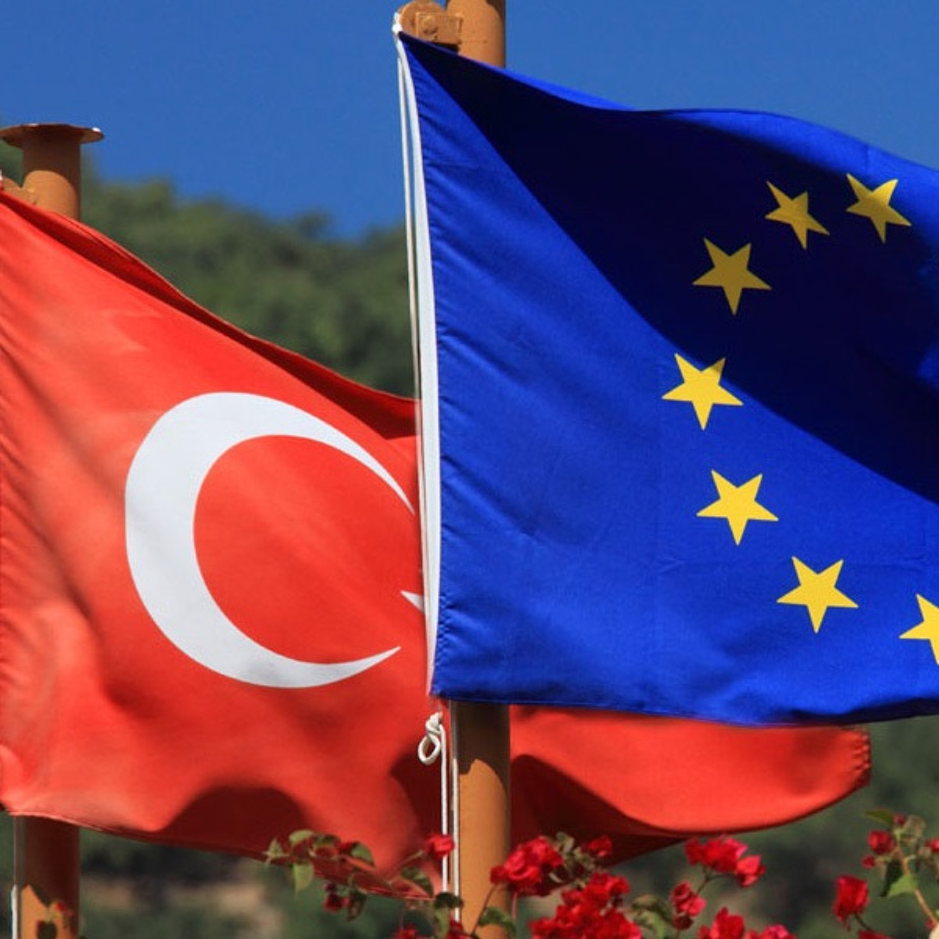 ECFR en Español