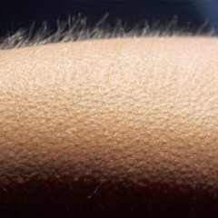 Travis Scott ft. Kendrick Lamar, NGHTMRE vs Loopers x Goja - Back To The Goosebumps (Deylast Mashup)