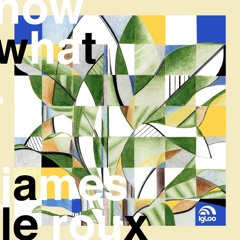 James le Roux - Now What? (Dilo Remix)