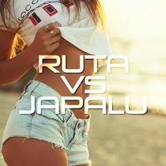 House Summer Mix June 2017 by Ruta vs Japalu | Jackin' Groove