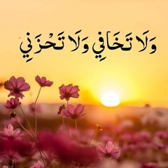 ولا تخافي ولا تحزني || من سورة القصص || أحمد النفيس