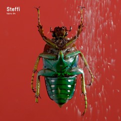 self-titled premiere: STFSHD - 1.5 [fabric] - taken from fabric 94: Steffi