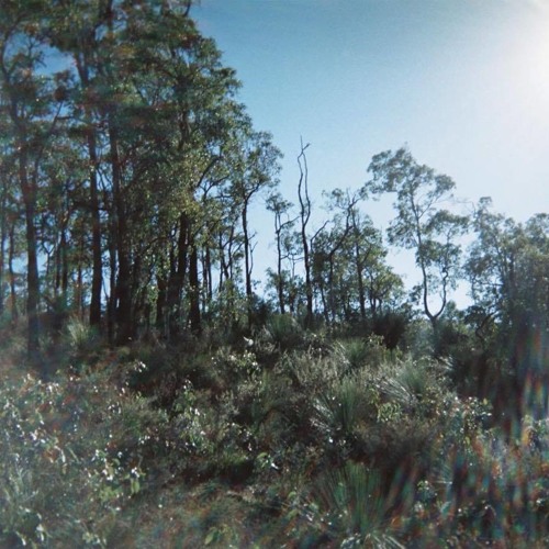 disposable