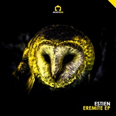 MORPH028 - Estien - Eremite EP [Morph]