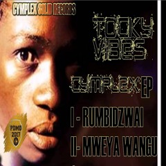 Tocky Vibes - Rumbidzwai (Cymplex Solid Records ) June 2017