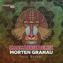 Morten Granau - Fuzzy Monkey (Karmatrix Remix)