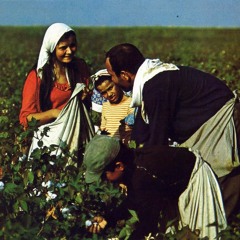 "ellerim yok ki artık tütün basam yarama"