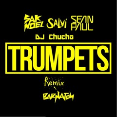 Sak Noel_Salvi Ft. Sean Paul - TRUMPETS **Club Remix** *Dj Chucho*