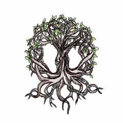 Falling Into Wonderland