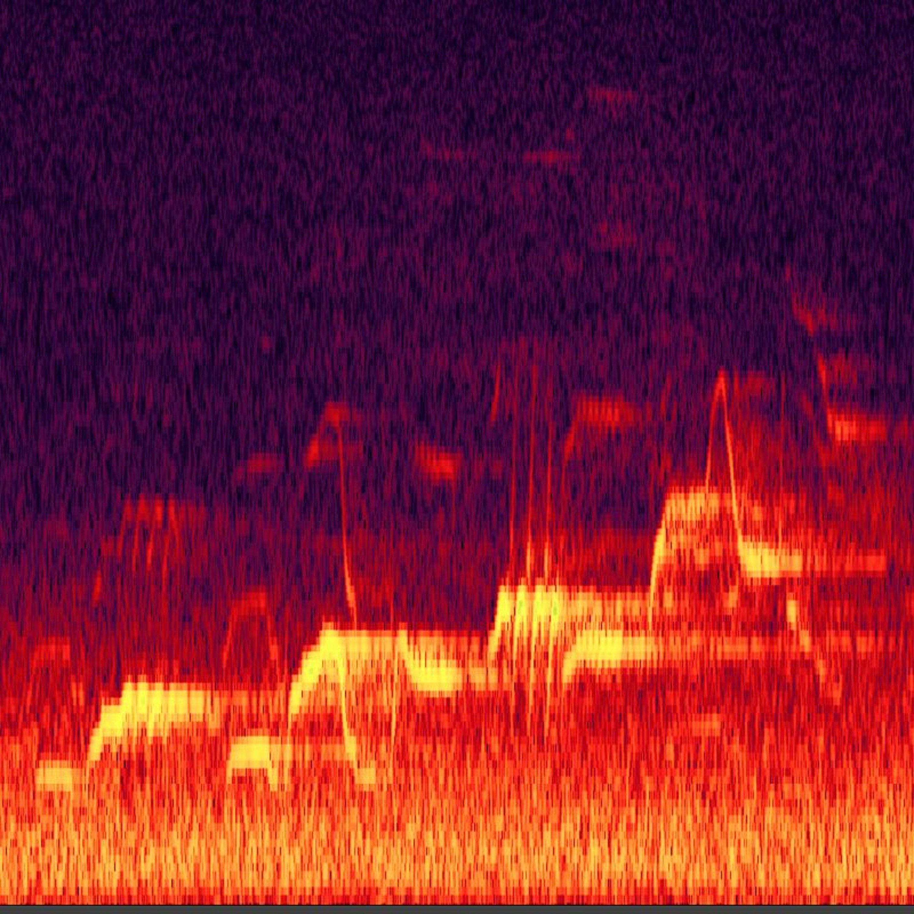Swainson's Thrush 060717 715pm episode artwork