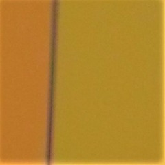 Our Corporate Wellness Specialist Presents