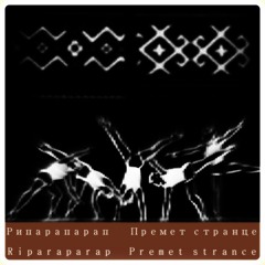 PREMIERE: Riparaparap - Premet Strance (Enggenier Remix)