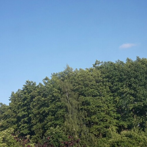 "Cœur d'Ambiance"