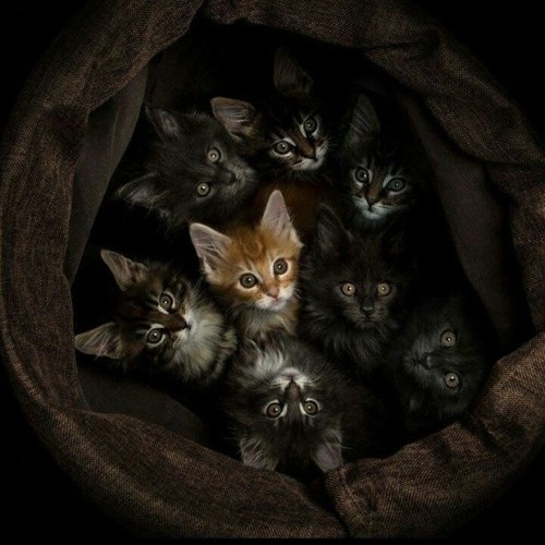 Mei Li Nu Ren - Remix