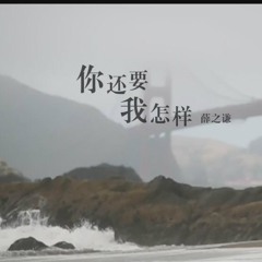 你还要我怎样 女版 （薛之谦 Joker Xue 原唱）