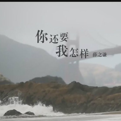 你还要我怎样 女版 （薛之谦 Joker Xue 原唱）