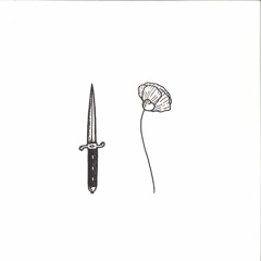 *Track Premiere* Adam Emil - Delphinium
