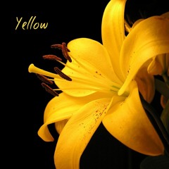 Yellow (Redbone remix)