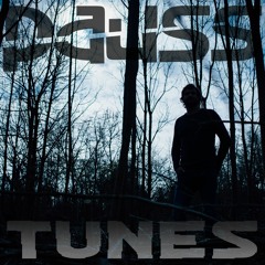 Tune 3 (From the new album "Tunes" by Pauss)