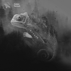 [NVR-003] B - Vanish (Tobias. Remix) sample - Camea