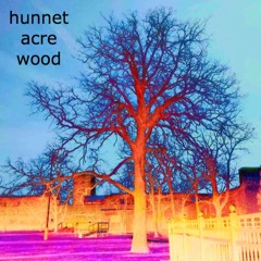 hunnet acre wood [prod. happii]