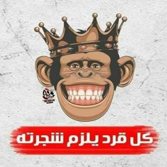 مهرجان كل قرد يلزم شجرته سادات العالمي من البوم تلقيح2018