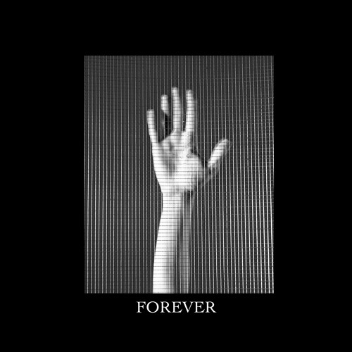 Flawes - Forever
