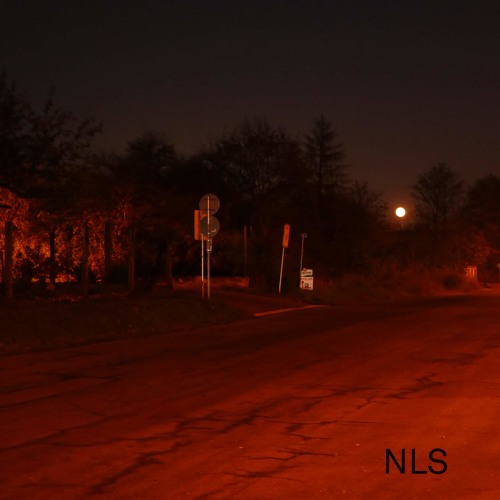 NLS-19