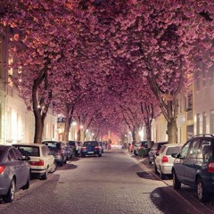 Rose & French Vanilla