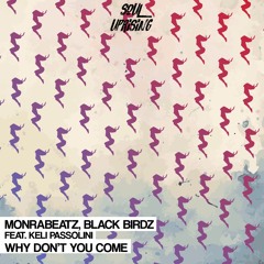 Monrabeatz & Black Birdz feat. Keli Passolini - Why Don't You Come (Original Mix) OUT NOW!