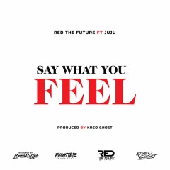 Red The Future - Say What You Feel (feat. Juju)