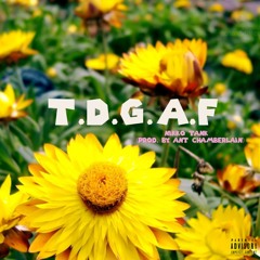 T.D.G.A.F (prod by. AntChamberlain)