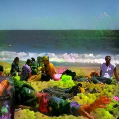 Live @ Limantour Beach - June 2017