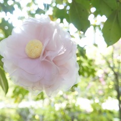 New private playlist