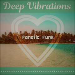 Deep Vibes - Fanatic Funk Summer Mix '17