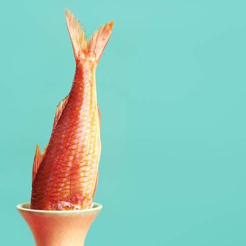 Dieter und ich - oder: Eine Liebe im Dutzend