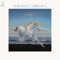 Seahawks - Starways (Len Leise Remix) (STW Premiere)