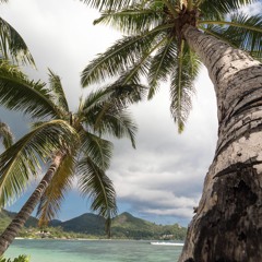 Emerging Trends Music