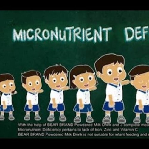 Micronutrient Deficiency - Bear Brand - Aliya Parcs