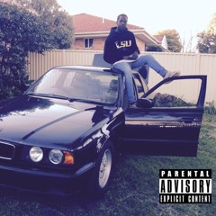 she with the program