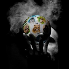 Youzpalangan ( World cup 2014 )  / ( یوزپلنگان ( جام جهانی