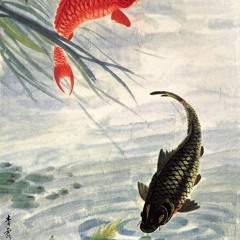 Watching The Movie Before Sunrise