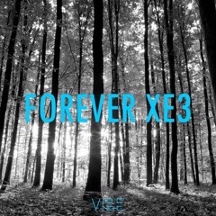 Forever XE3 (Vibe Mashup)