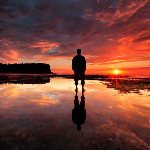 Reflection