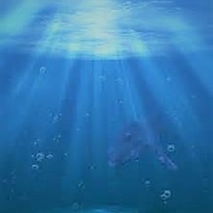 Whales