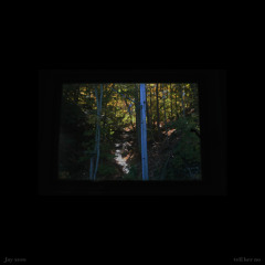 warner case - tell her no