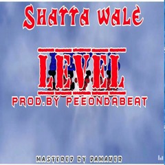 SHATTA  WALE  - LEVEL .. (PROD. BY PEEONDABEAT)