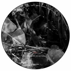 Vâyu - Polarized Reflection.ANNULLEDCD05